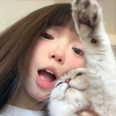 妻之告白封面